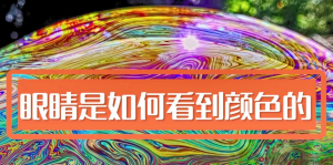 人類是如何看顏色的，影響人眼分辨顏色的因素有哪些?